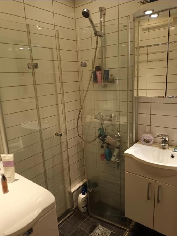 Great Close To Royal Castle * Oslo