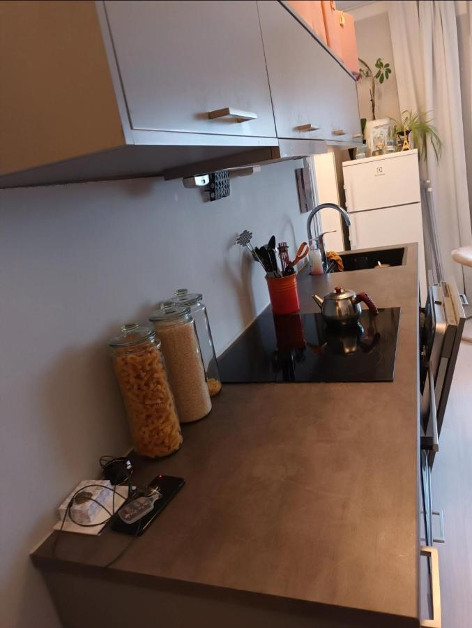 Great Close To Royal Castle Apartment
